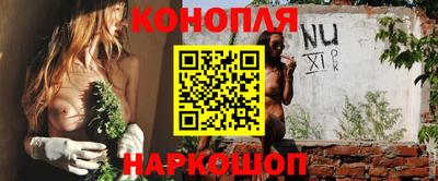 гашик Кулебаки