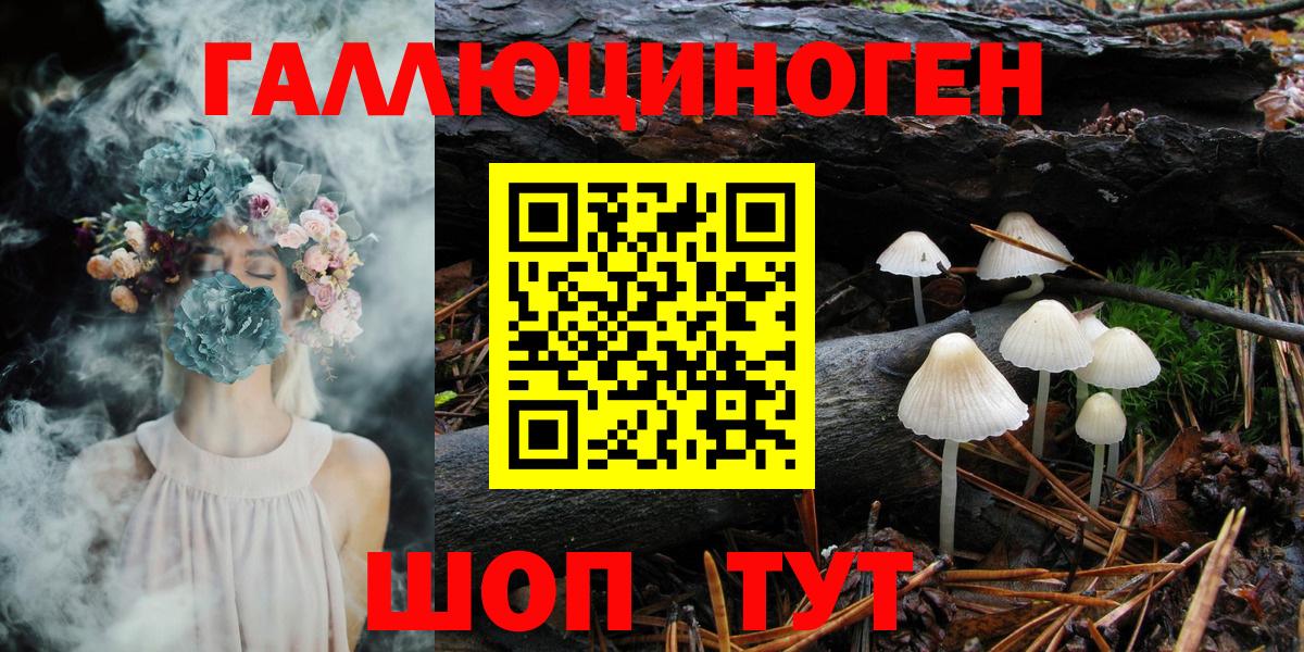Кашира  Галлюциногенные грибы Cubensis  Вход с VPN 