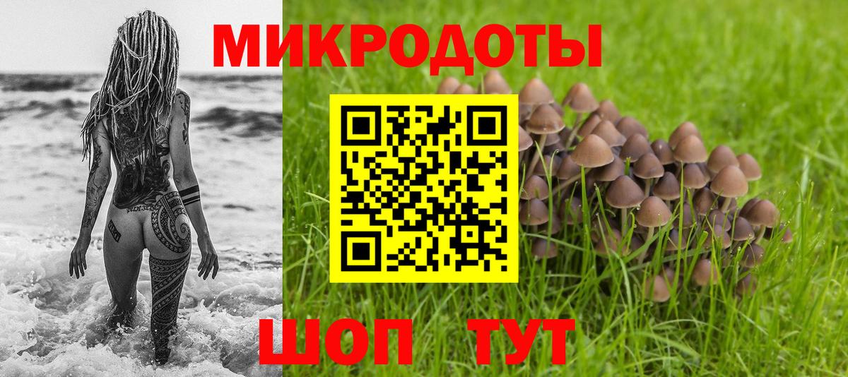 Псилоцибиновые грибы прущие грибы Кашира